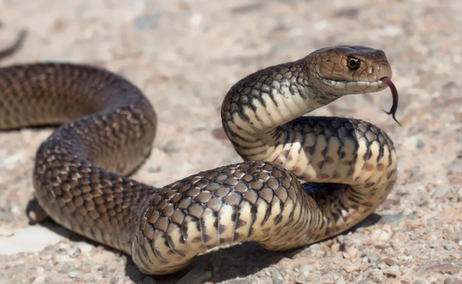 Captura de pantalla 2025-12-02 003103